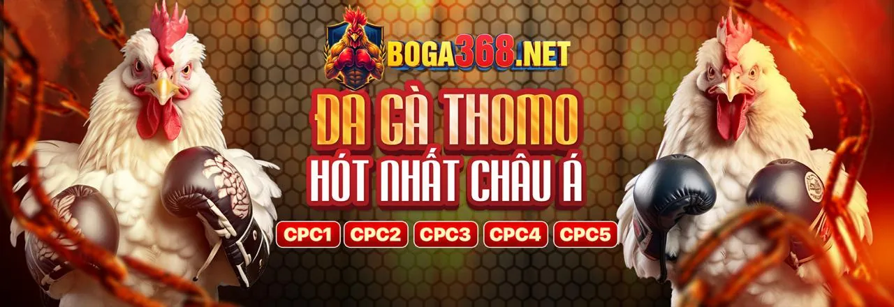 Đá gà trực tuyến kịch tính tại VIPVIN